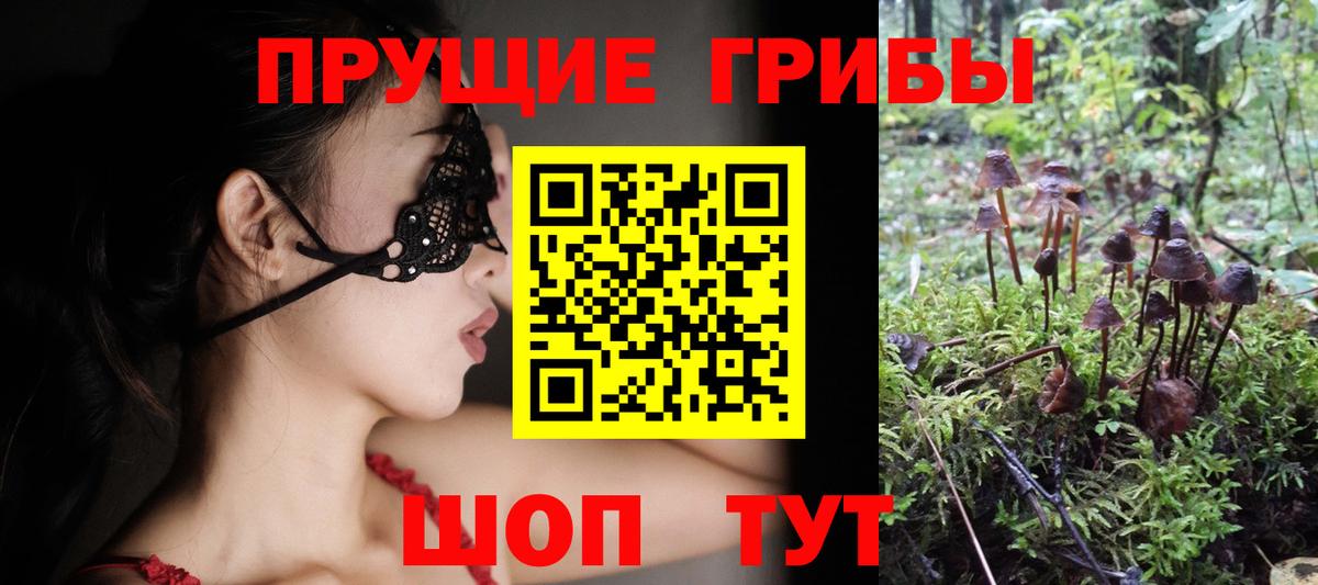 Советская Гавань  Псилоцибиновые грибы Psilocybine cubensis  Псилоцибиновые грибы Cubensis  Вход с VPN 
